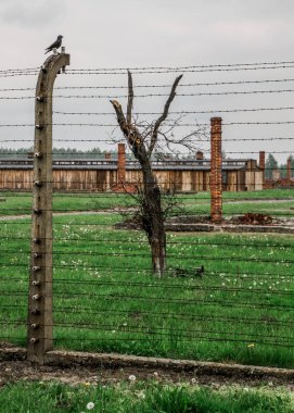 Auschwitz Birkenau, imha kampı, Polonya 'daki toplama kampı, Nazilerin toplama kampı, 2. Dünya Savaşı. Ölüm kampı. Hapishane yatakhaneleri. Soykırım Anıtı. Engelli evler. Kışlalar