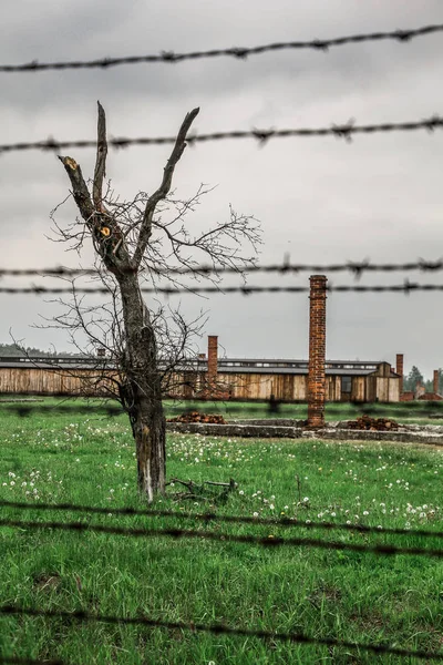 Auschwitz Birkenau Campo Sterminio Campo Concentramento Polonia Campo Concentramento Nazista — Foto Stock