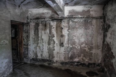 Auschwitz Birkenau, imha kampı, Polonya 'daki toplama kampı, Nazilerin toplama kampı, 2. Dünya Savaşı. Ölüm kampı. Hapishane yatakhaneleri. Soykırım Anıtı. Engelli evler. Kışlalar