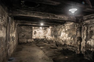Auschwitz Birkenau, imha kampı, Polonya 'daki toplama kampı, Nazilerin toplama kampı, 2. Dünya Savaşı. Ölüm kampı. Hapishane yatakhaneleri. Soykırım Anıtı. Engelli evler. Kışlalar