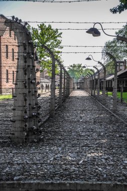 Auschwitz Birkenau, imha kampı, Polonya 'daki toplama kampı, Nazilerin toplama kampı, 2. Dünya Savaşı. Ölüm kampı. Hapishane yatakhaneleri. Soykırım Anıtı. Engelli evler. Kışlalar