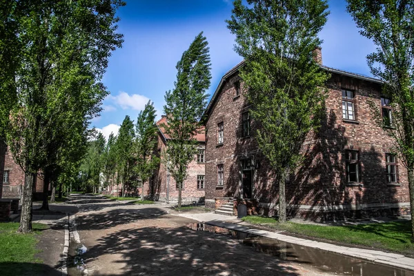 Auschwitz Birkenau Imha Kampı Polonya Daki Toplama Kampı Nazilerin Toplama — Stok fotoğraf