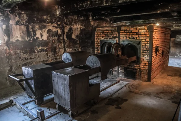 Auschwitz Birkenau Megsemmisítő Tábor Koncentrációs Tábor Lengyelországban Náci Koncentrációs Tábor — Stock Fotó