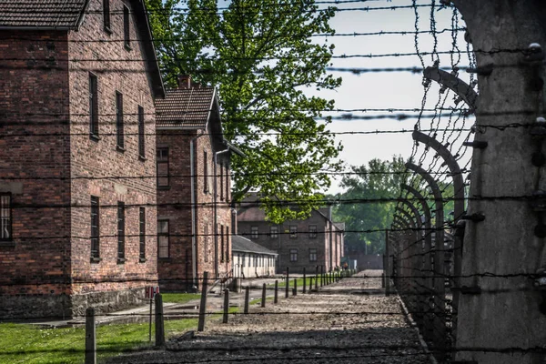 Auschwitz Birkenau, imha kampı, Polonya 'daki toplama kampı, Nazilerin toplama kampı, 2. Dünya Savaşı. Ölüm kampı. Hapishane yatakhaneleri. Soykırım Anıtı. Engelli evler. Kışlalar