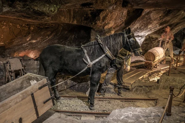 Μέσα Στο Αλατωρυχείο Wieliczka Κοντά Στην Κρακοβία Πολωνία Υπόγειοι Διάδρομοι — Φωτογραφία Αρχείου