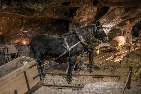 Inne Saltgruvan Wieliczka Nära Krakow Polen Underjordiska Korridorer Sjöar Och — Stockfoto