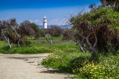 Kato Paphos Arkeoloji Parkı. Paphos, Kıbrıs. Dünya mirası olan Paphos arkeoloji sahasındaki antik kentin kalıntıları. Kato Paphos. Kıbrıs.