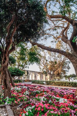 Valletta, Malta şehir manzarası. Valletta 'daki Dar Sokak - Malta' nın başkenti. Geleneksel Malta mimarisi. La Valetta 'nın eski tarihi parçası. Dışarıda insanlar ve dar sokaklar, Malta.