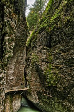 Aare Gorge, yeşil bitki ve ağaçlarla kaplı dar kayalıklar arasındaki mavi alp nehri. İsviçre Alpleri. Aareschlucht Meiringen İsviçre. İsviçre 'nin Bernese Oberland bölgesinde nehrin bir bölümü..