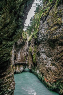 Aare Gorge, yeşil bitki ve ağaçlarla kaplı dar kayalıklar arasındaki mavi alp nehri. İsviçre Alpleri. Aareschlucht Meiringen İsviçre. İsviçre 'nin Bernese Oberland bölgesinde nehrin bir bölümü..