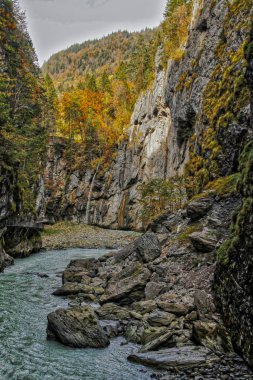 Aare Gorge, yeşil bitki ve ağaçlarla kaplı dar kayalıklar arasındaki mavi alp nehri. İsviçre Alpleri. Aareschlucht Meiringen İsviçre. İsviçre 'nin Bernese Oberland bölgesinde nehrin bir bölümü..