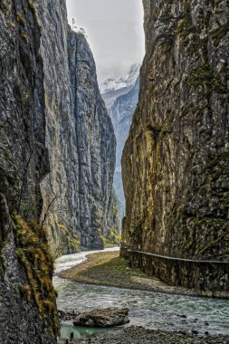 Aare Gorge, yeşil bitki ve ağaçlarla kaplı dar kayalıklar arasındaki mavi alp nehri. İsviçre Alpleri. Aareschlucht Meiringen İsviçre. İsviçre 'nin Bernese Oberland bölgesinde nehrin bir bölümü..