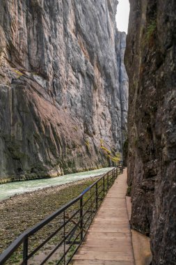 Aare Gorge, yeşil bitki ve ağaçlarla kaplı dar kayalıklar arasındaki mavi alp nehri. İsviçre Alpleri. Aareschlucht Meiringen İsviçre. İsviçre 'nin Bernese Oberland bölgesinde nehrin bir bölümü..