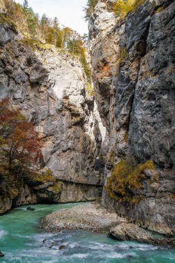 Aare Gorge, yeşil bitki ve ağaçlarla kaplı dar kayalıklar arasındaki mavi alp nehri. İsviçre Alpleri. Aareschlucht Meiringen İsviçre. İsviçre 'nin Bernese Oberland bölgesinde nehrin bir bölümü..