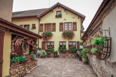 Bergheim - Alsace 'de eski evleri olan güzel bir kasaba. Fransa. Bergheim 'in renkli evleri ve sokakları. Alsace Şarap Yolu