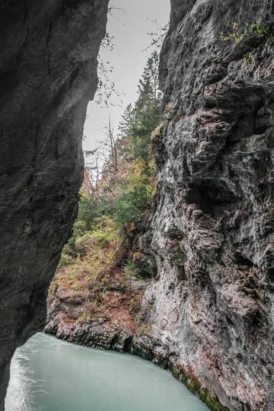 Гаряча Ущелина Блакитна Альпійська Річка Між Вузькими Скелястими Скелями Вкритими — стокове фото