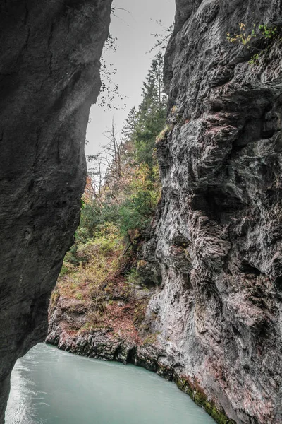 Aare Gorge Río Alpino Azul Entre Estrechos Acantilados Rocosos Cubiertos —  Fotos de Stock