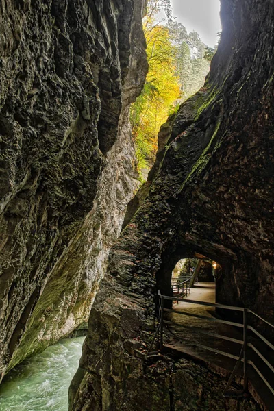 Aare Gorge Niebieska Alpejska Rzeka Pomiędzy Wąskimi Skalistymi Klifami Pokrytymi — Zdjęcie stockowe