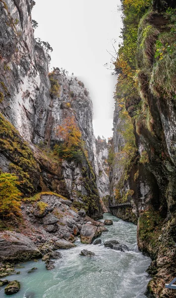 Aare Gorge Rio Alpino Azul Entre Penhascos Rochosos Estreitos Cobertos — Fotografia de Stock