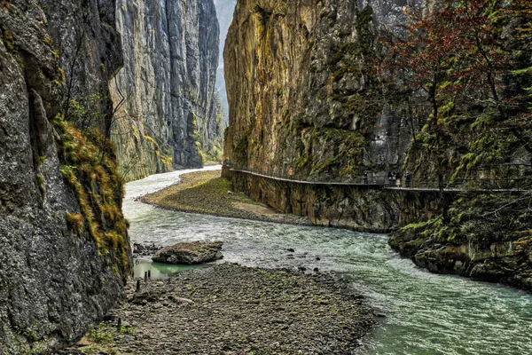 Aare Gorge Blå Alpin Flod Mellan Smala Klippor Täckta Med — Stockfoto
