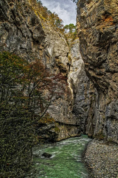 Aare Gorge Blå Alpin Flod Mellan Smala Klippor Täckta Med — Stockfoto