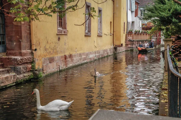 Staré Město Colmar Alsasko Francie Drobné Benátky Vodní Kanál Tradiční — Stock fotografie