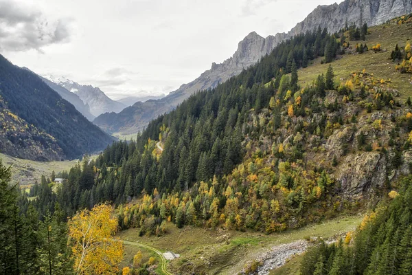 Paisaje Mágico Suiza Con Las Montañas Los Alpes Suizos Europa —  Fotos de Stock