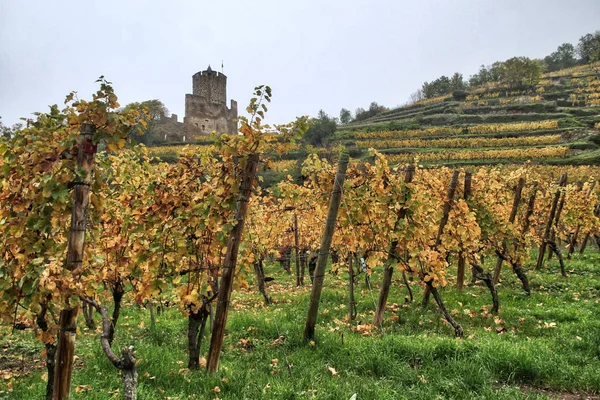 Кайсерсберг Одна Самых Красивых Деревень Франции Эльзас Alsace Wine Кайзерслаутерн — стоковое фото