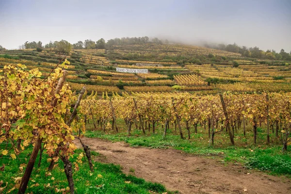 Кайсерсберг Одна Самых Красивых Деревень Франции Эльзас Alsace Wine Кайзерслаутерн — стоковое фото