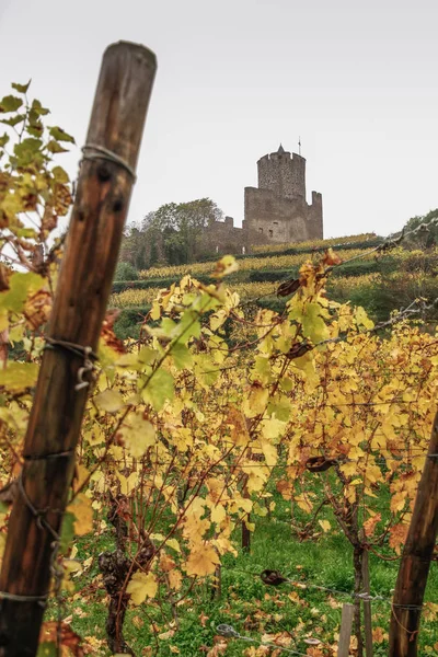 Кайсерсберг Одна Самых Красивых Деревень Франции Эльзас Alsace Wine Кайзерслаутерн — стоковое фото