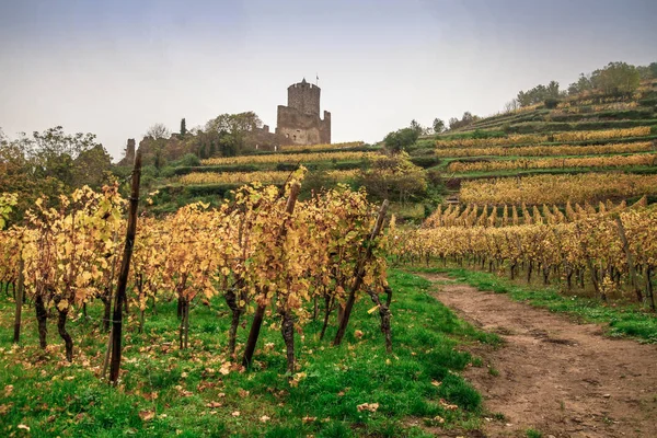 Кайсерсберг Одна Самых Красивых Деревень Франции Эльзас Alsace Wine Кайзерслаутерн — стоковое фото