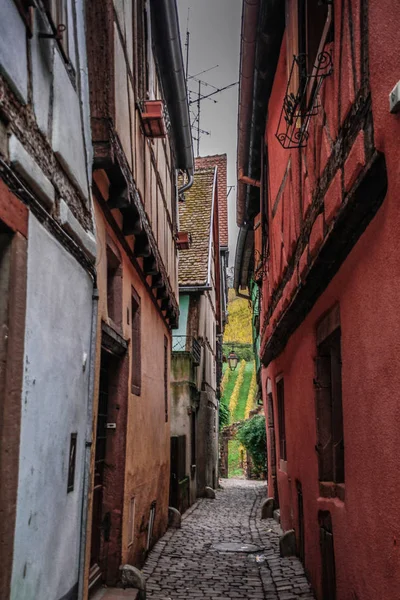 Alsace Deki Riquewihr Fransa Nın Güzel Köylerinden Biri Ünlü Asma — Stok fotoğraf