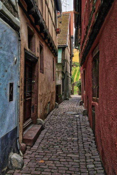 Riquewihr Alsasku Jedné Nejkrásnějších Vesnic Francii Slavná Vinná Stezka Turistická — Stock fotografie