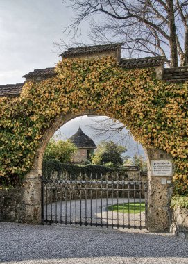Vaduz, Lihtenştayn. İsviçre Alplerine bakan Vaduz Kalesi. Güzel kale binası, Lihtenştayn Prensliği hükümetinin merkezidir..