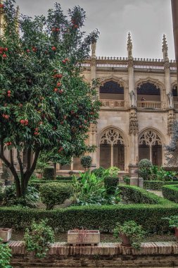 İspanya 'nın tarihi Toledo şehrinin manzarası. Unesco Dünya Mirası Bölgesi. Ortaçağ mimari tarzı olan Alcazar ve Alcantara Köprüsü (Puente de Alcantara) ile aynı caddeye çıktı. Toledo.