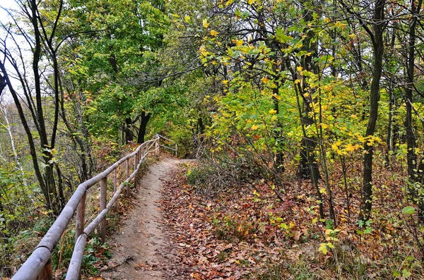 Öko-Trail durch den Herbstwald. — Stockfoto