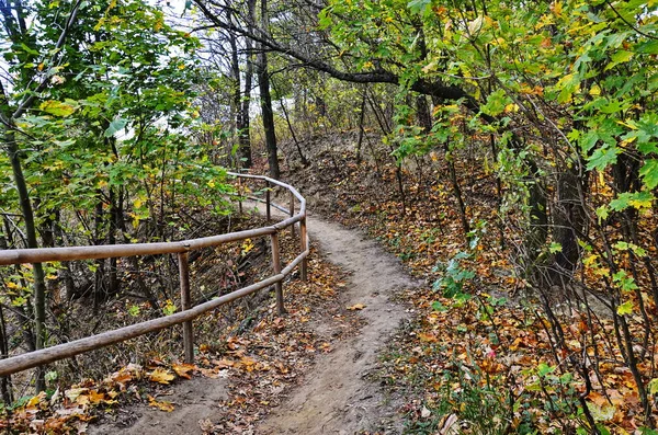 Öko-Trail durch den Herbstwald. — Stockfoto