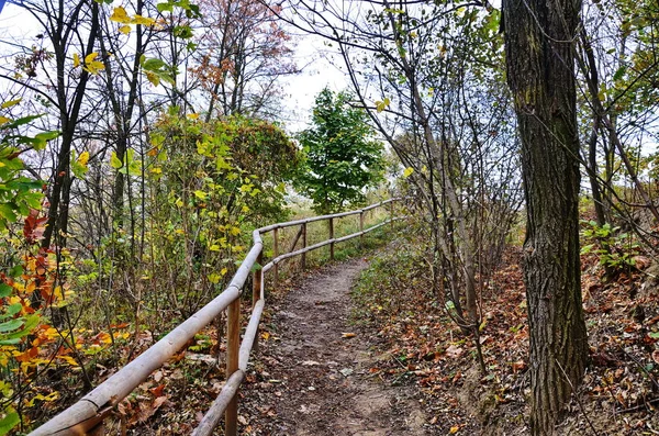 Ecological trail through in the fall forest.