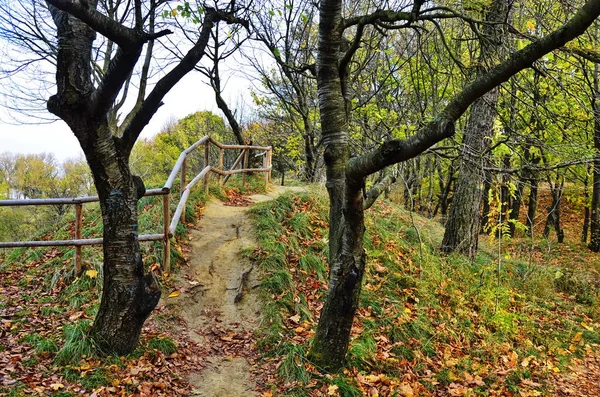 Ekologická stezka podzimním lesem. — Stock fotografie