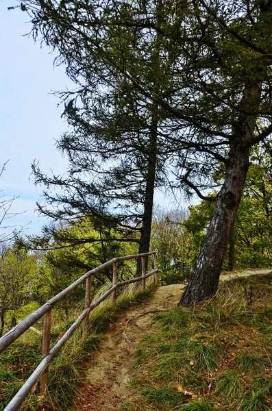 Ecological trail through in the fall forest.