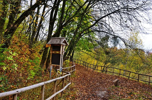 Öko-Trail durch den Herbstwald. — Stockfoto