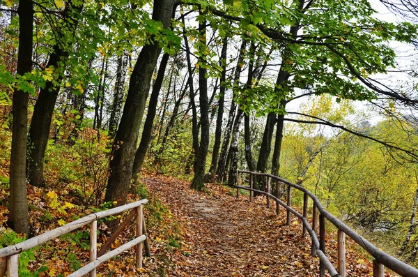 Ecological trail through in the fall forest.