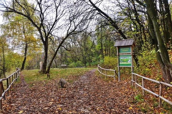 Ecological trail through in the fall forest.