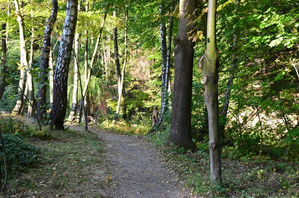 Bunte Herbstlandschaft an einem sonnigen Tag. — Stockfoto