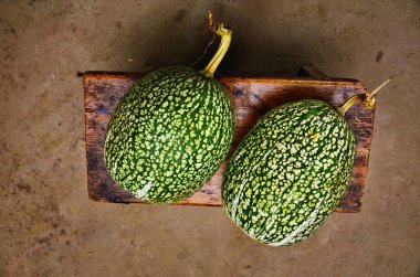 Cucurbita ficifolia. Asya balkabağı.