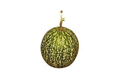 Cucurbita ficifolia. Asya balkabağı.