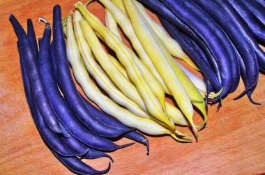 Kuşkonmaz. Ağaçta yeşil fasulye.