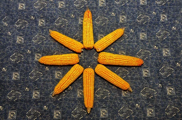 Betakarított kukorica. Kukoricamag. Természetes élelmiszerek. — Stock Fotó