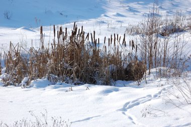 Önde kış soğuk günü.