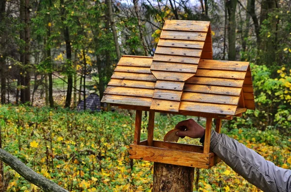 Bogatka Parus Major na podajnik o zimie — Zdjęcie stockowe